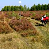 0309F 46 Heide noerdlich Eschede